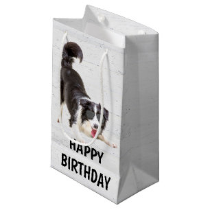 Birthday Border Collie with Sunglasses Small Gift Bag