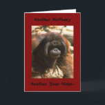Birthday Brother Card<br><div class="desc">Happy Birthday Brother</div>