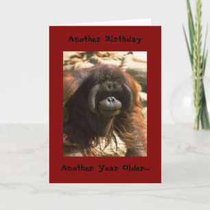 Birthday Brother Card