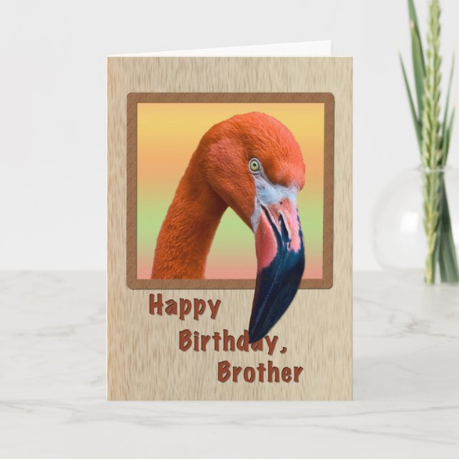 Birthday, Brother, Flamingo Bird Card (Front)