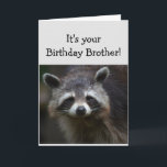 Birthday BROTHER Fun Age Humour Sad Racoon Humour Card<br><div class="desc">Birthday Blahs for your BROTHER Fun Age You're trash to me  Humourous Racoon Animal art</div>