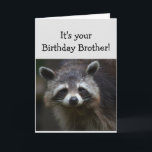 Birthday BROTHER Fun Age Humour Sad Racoon Humour Card<br><div class="desc">Birthday Blahs for your BROTHER Fun Age You're trash to me  Humourous depressed Racoon Animal art</div>
