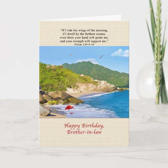 Birthday, Brother-in-law, Beach, Hills, Birds, Oce Card (Front)