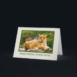 Birthday, Brother-in-law, Lion on a Rock Card<br><div class="desc">This lovely female lion resting on a rock and surveying her kingdom makes a wonderful and colourful birthday greeting card.   Feel free to change the inside verse to suit your needs.</div>