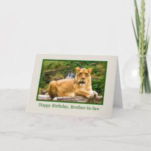 Birthday, Brother-in-law, Lion on a Rock Card