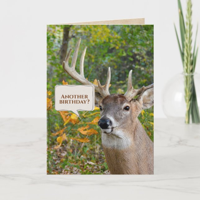 Birthday Buck In Woods  Card (Front)