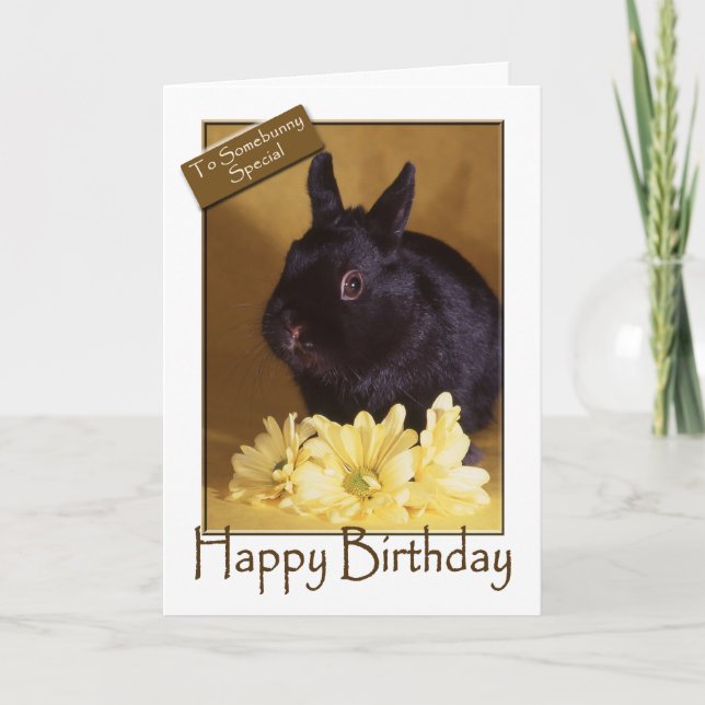 Birthday - Bunny and Daisies Greeting Card (Front)