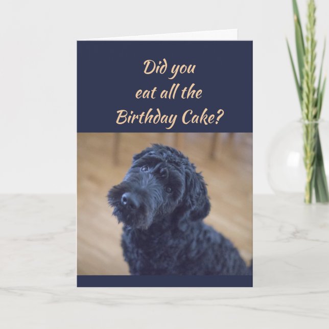 Birthday Cake Humor Cute Black Curly Dog Pet Card (Front)