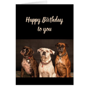 Birthday Cake Humour From all of Us Boxer Dog Fun