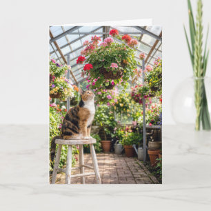 Birthday Calico Cat on a Greenhouse Stool Card