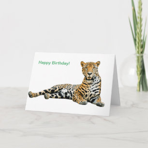 Birthday Card