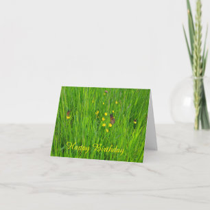 Birthday Card