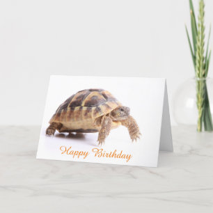 Birthday Card 