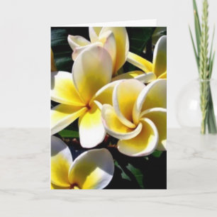birthday card