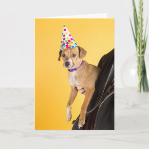 Birthday Card