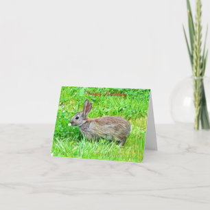 Birthday Card
