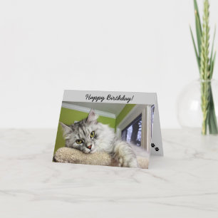 Birthday Card