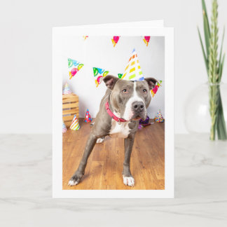 Birthday card
