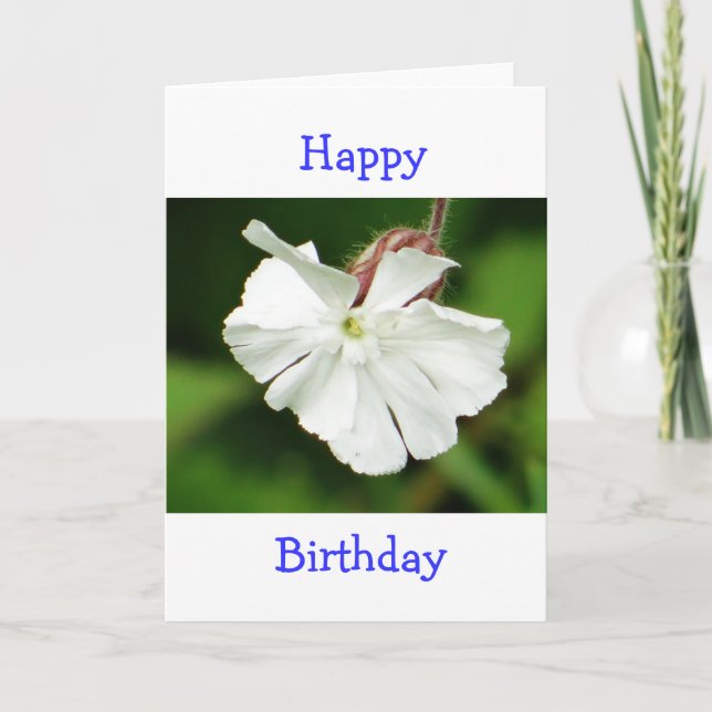 Birthday card beautiful white flower (Front)
