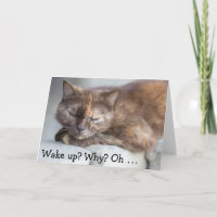 Birthday Card&Cat: Wake up for a happy Birthday