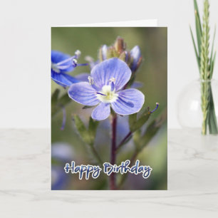 Birthday Card - Corn speedwell - Veronica arvensis