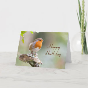 Birthday card European robin Erithacus rubecula