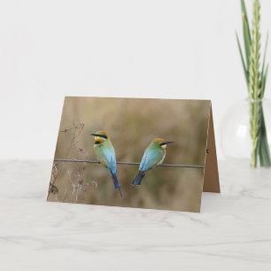 Birthday card featuring Bee eaters (birds)
