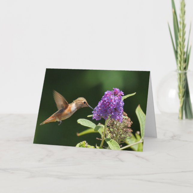 Birthday card featuring hummingbird (Front)