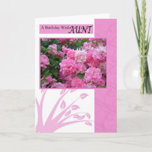 Birthday Card for Aunt, wild pink roses