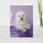 Birthday Card for Granddaughter -- Princess<br><div class="desc">This adorable dog princess photo makes a great birthday card for your granddaughter! Image and verse  Kathy Henis</div>