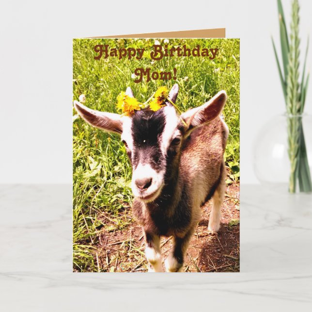 Birthday Card for Mum - From Favourite Kid (Goat) (Front)