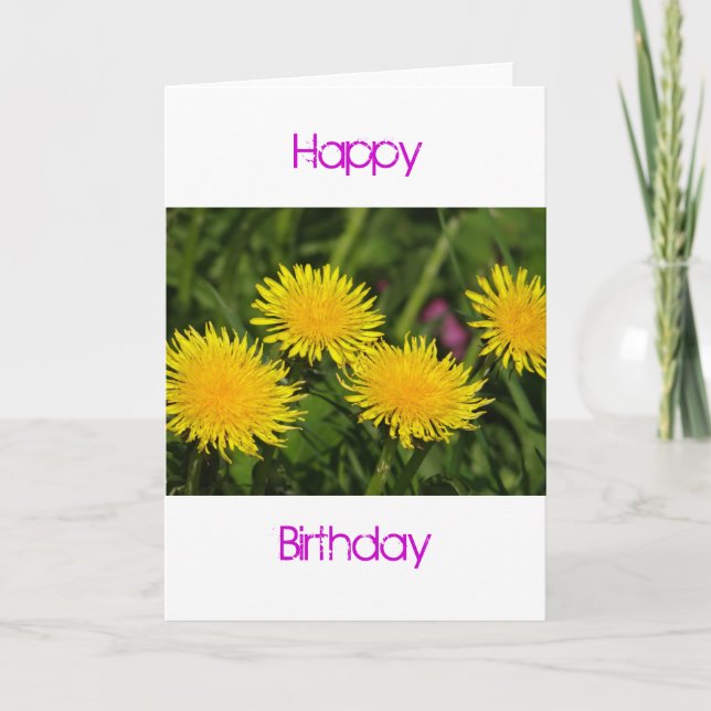 Birthday card four dandelions (Front)