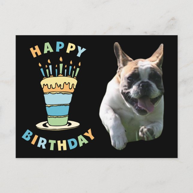 Birthday card French Bulldog postcard (Front)