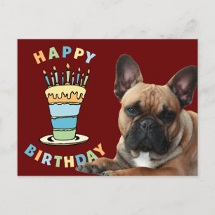 birthday card French Bulldog postcard