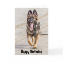 Birthday Card German Shepherd Dog Alsatian