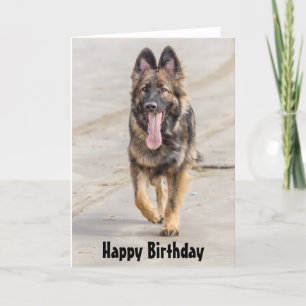Birthday Card German Shepherd Dog Alsatian