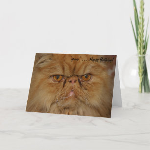 Birthday Card: Grumpiest Cat alive Card