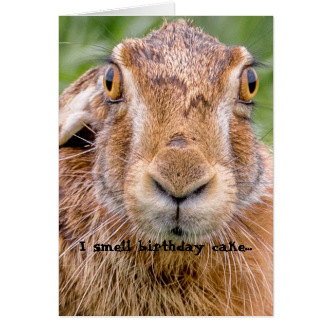 birthday card humour bunny rabbit nose (Front)