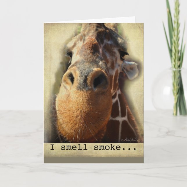 birthday card humour giraffe nose (Front)