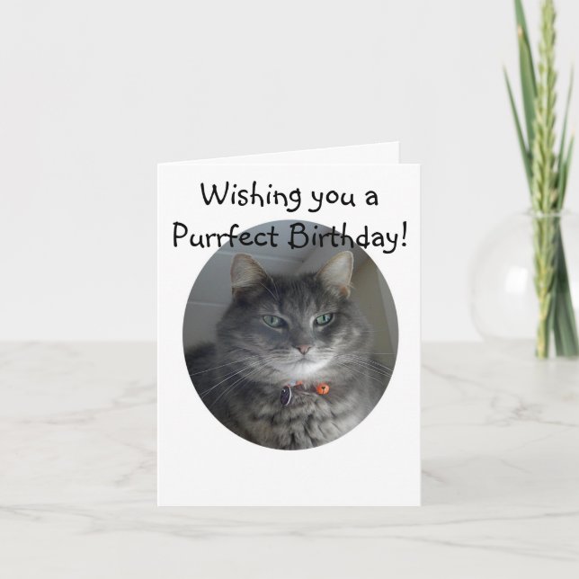 Birthday Card - Merlin the Cat (Front)