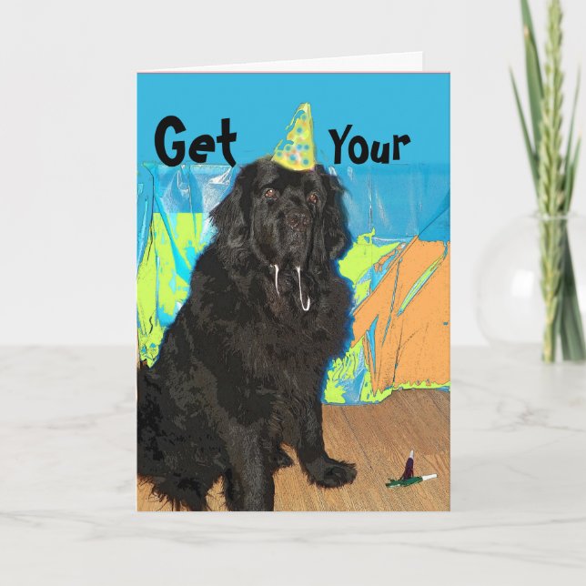 Birthday Card ~ Newfoundland Dog (Front)