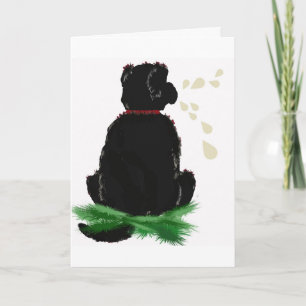 Birthday Card~ Newfoundland Dog Card