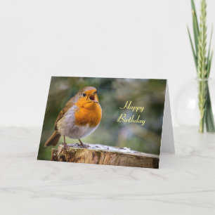 Birthday card of singing robin Erithacus rubecula