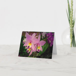 Birthday Card: Orchids with a Dream Realised Card