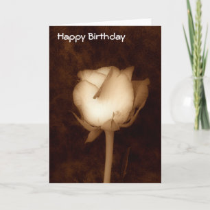 Birthday Card-Rose in Sepia Card