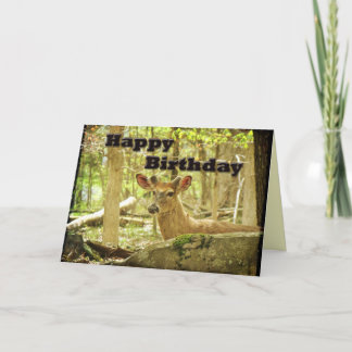 Birthday Card - Whitetail Deer Buck in Velvet
