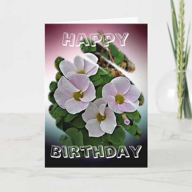 Birthday Card - Winter Flowers (Front)