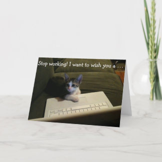 Birthday Card with Cat: Stop Working!