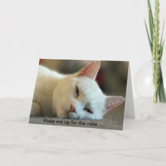 Birthday Card with Cat: Wake me up for the cake!