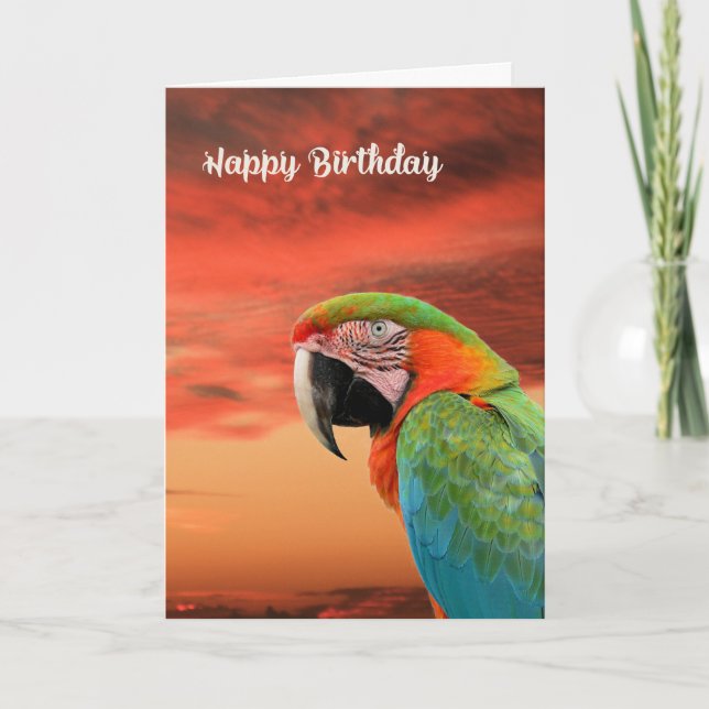 Birthday Card with Colourful Parrot & Sunset (Front)